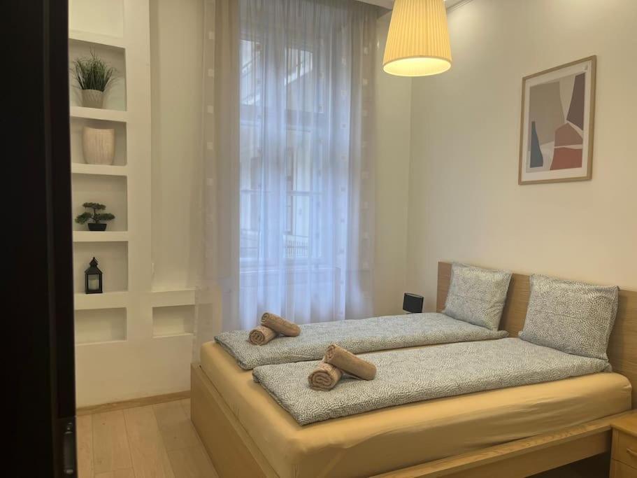 Szechenyi Renovated 2Br At Danube River Budapeszt Zewnętrze zdjęcie